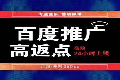 百度推广服务费案例分析：成功背后的秘密